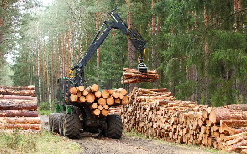 Timber Harvesting Techniques